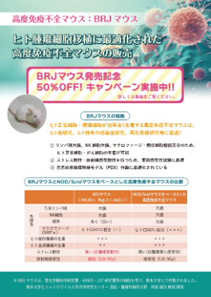 【セツロテック】≪日本エスエルシー≫ BRJマウス発売記念キャンペーン